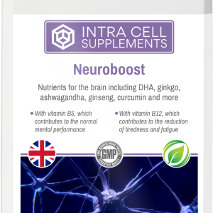 Neuroboost
